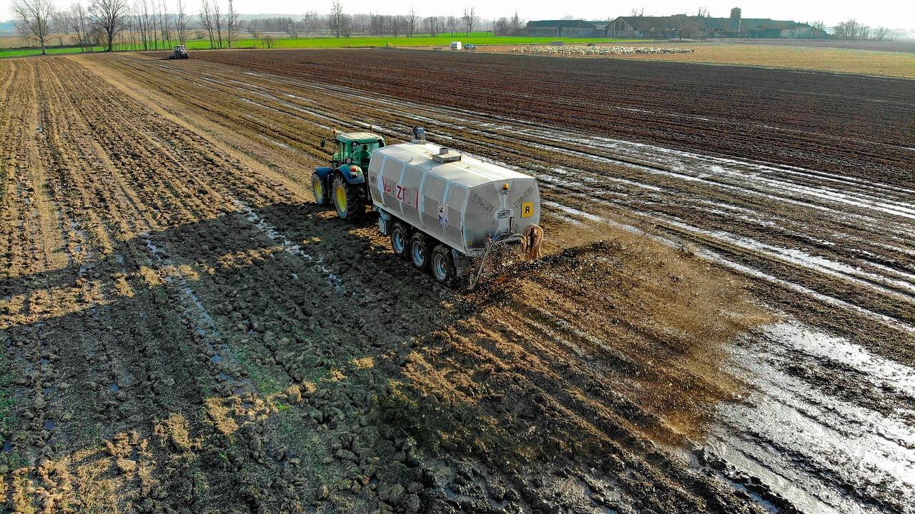 How to Use Manure in Your Garden the Eco-Friendly Way?